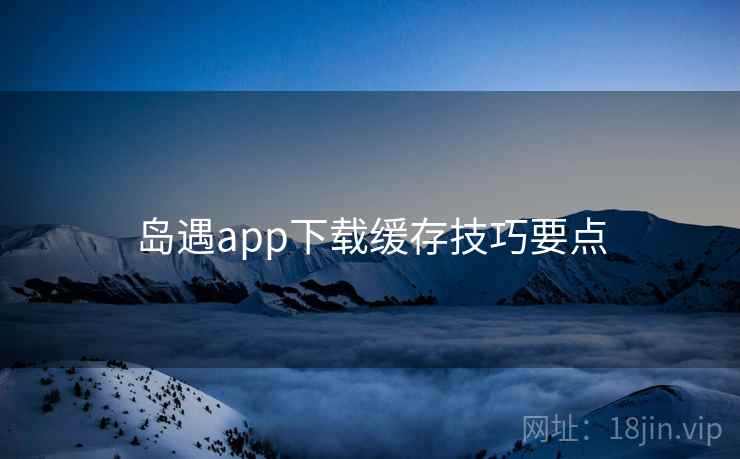 岛遇app下载缓存技巧要点