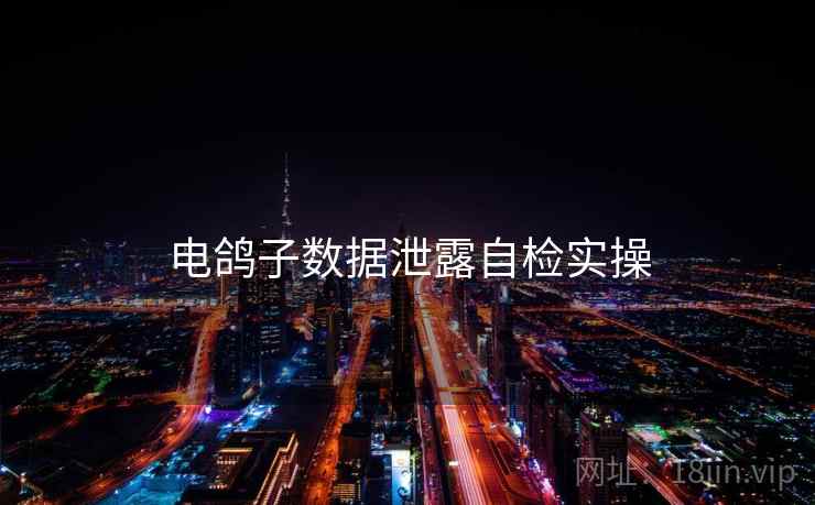电鸽子数据泄露自检实操