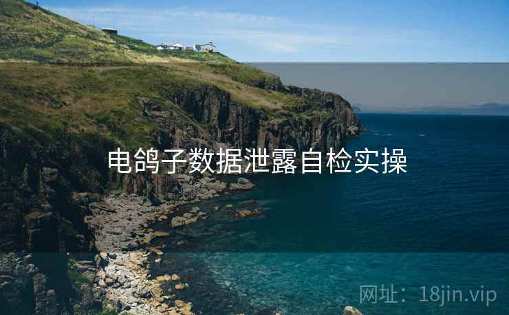 电鸽子数据泄露自检实操