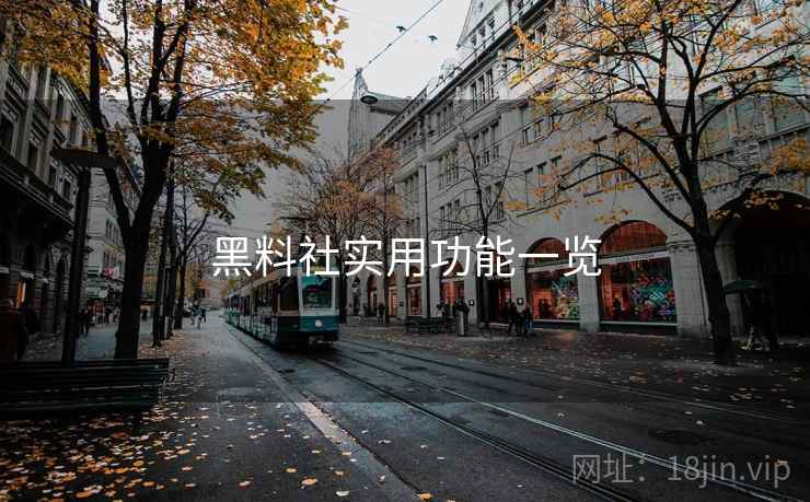黑料社实用功能一览