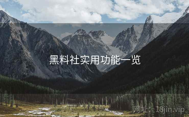 黑料社实用功能一览