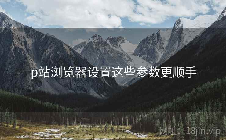 p站浏览器设置这些参数更顺手