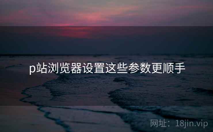 p站浏览器设置这些参数更顺手
