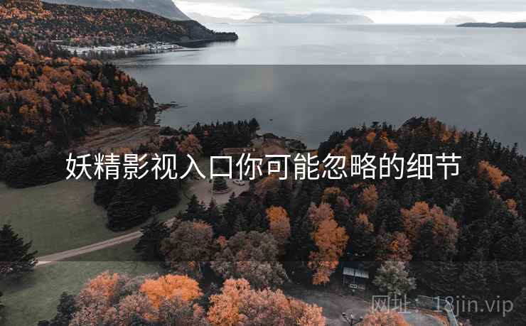 妖精影视入口你可能忽略的细节
