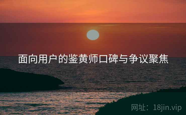 面向用户的鉴黄师口碑与争议聚焦