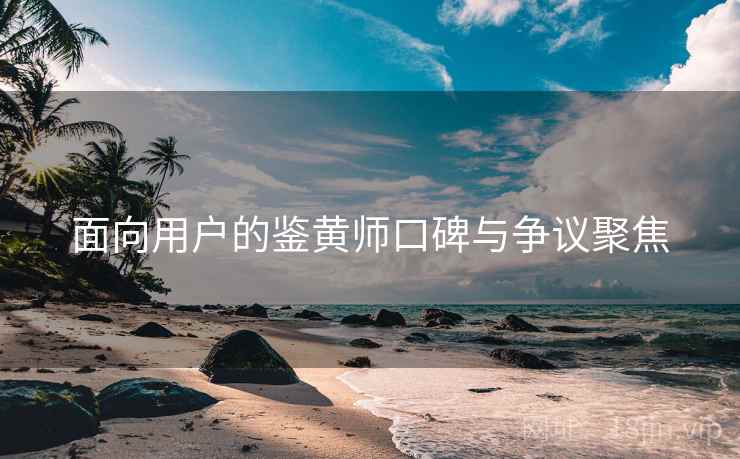 面向用户的鉴黄师口碑与争议聚焦