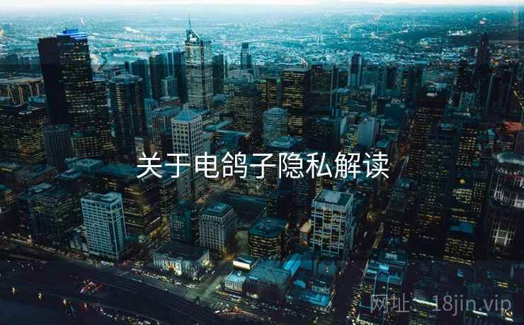 关于电鸽子隐私解读