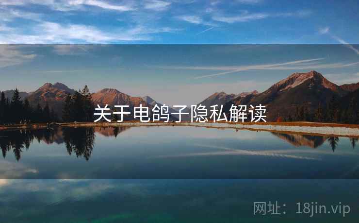 关于电鸽子隐私解读