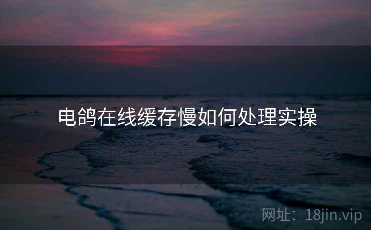 电鸽在线缓存慢如何处理实操