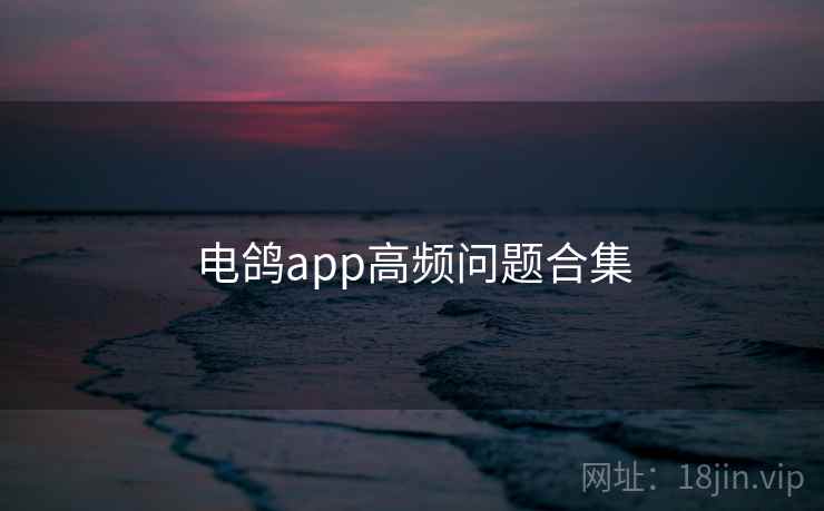 电鸽app高频问题合集