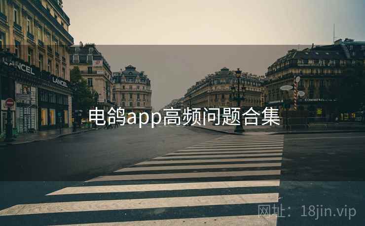 电鸽app高频问题合集