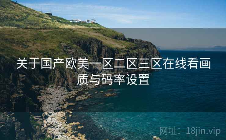 关于国产欧美一区二区三区在线看画质与码率设置