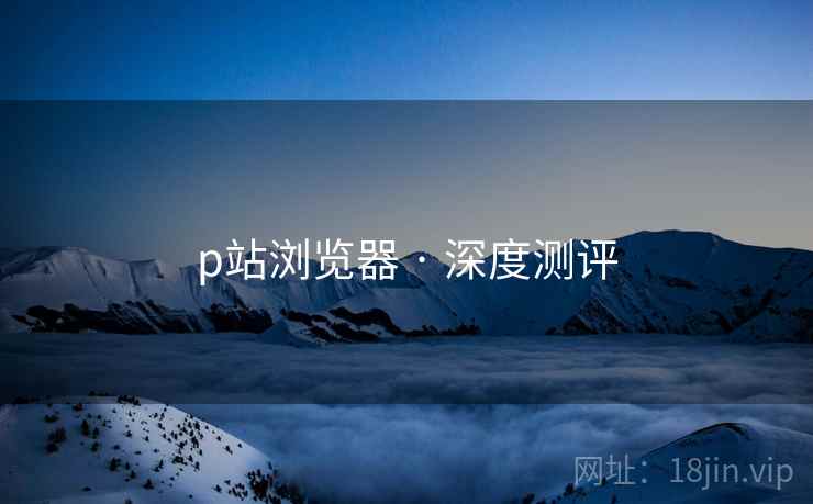 p站浏览器 · 深度测评