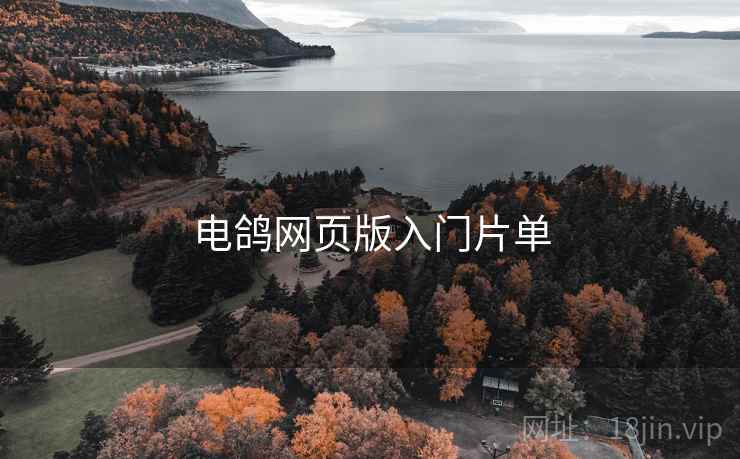 电鸽网页版入门片单