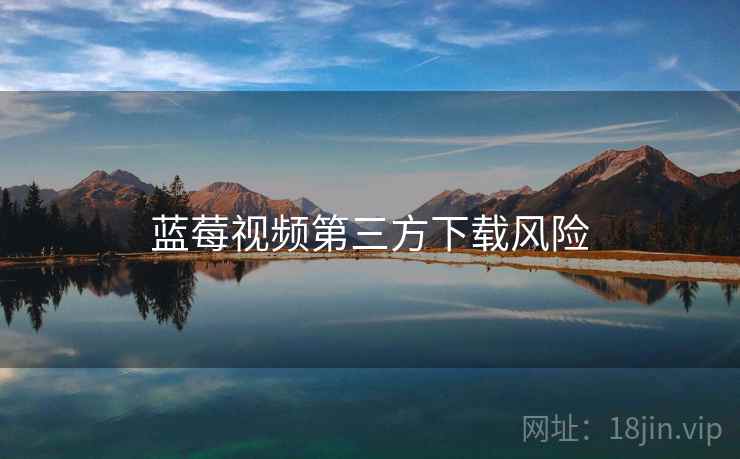蓝莓视频第三方下载风险