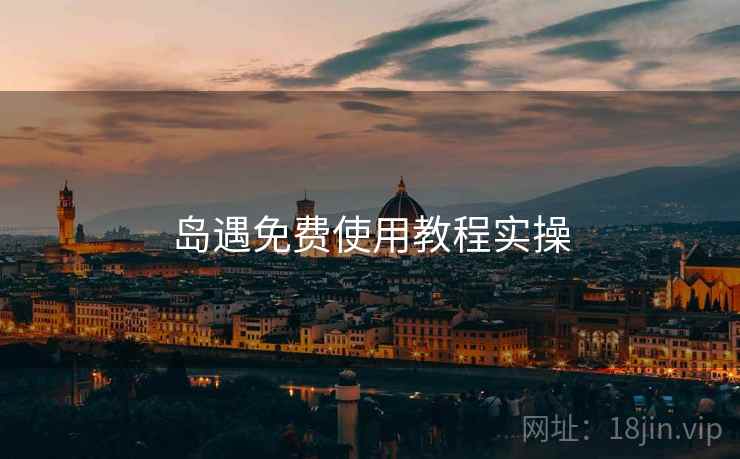 岛遇免费使用教程实操
