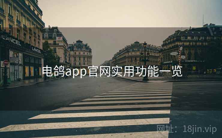 电鸽app官网实用功能一览