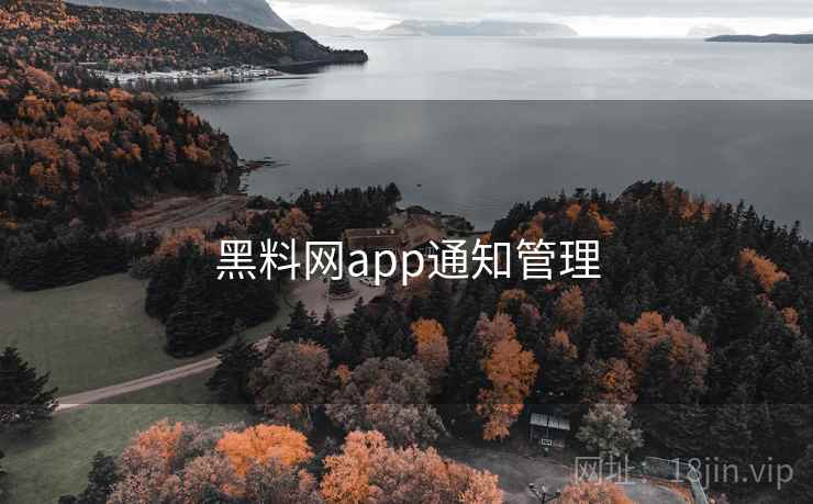 黑料网app通知管理