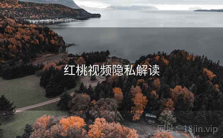 红桃视频隐私解读