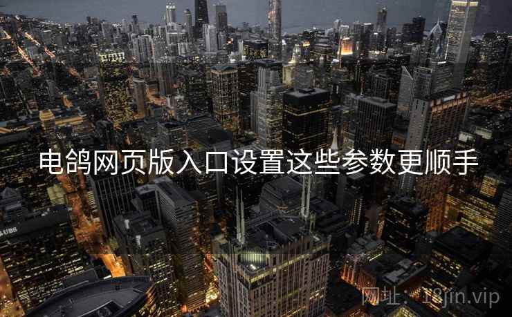 电鸽网页版入口设置这些参数更顺手