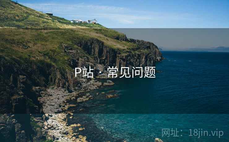P站 · 常见问题