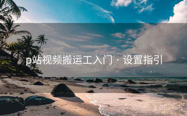 p站视频搬运工入门 · 设置指引