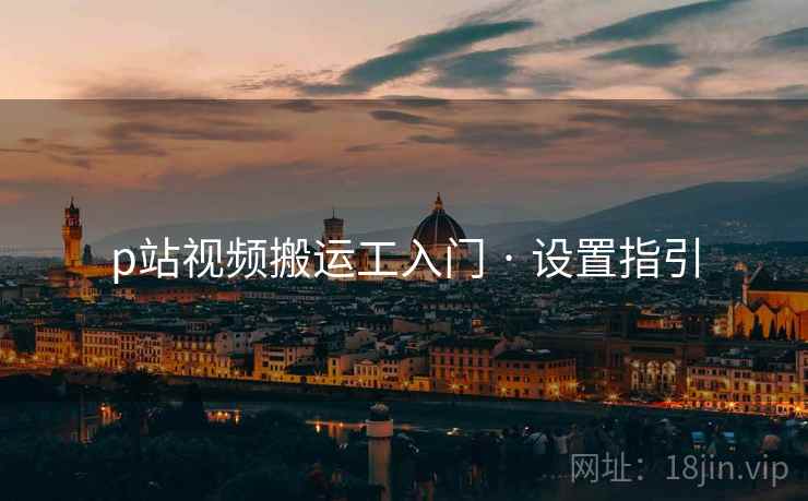 p站视频搬运工入门 · 设置指引