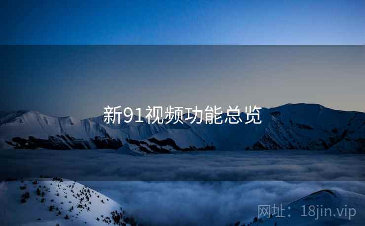 新91视频功能总览