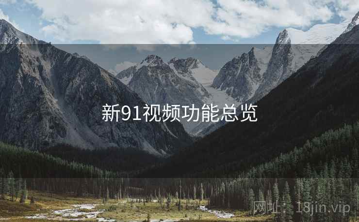 新91视频功能总览