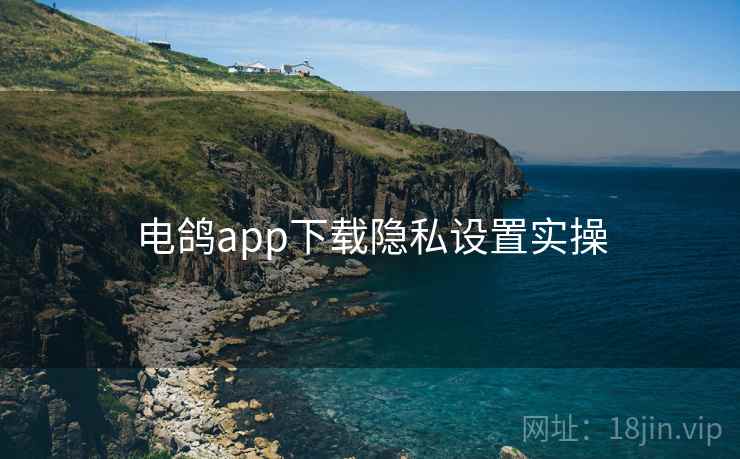 电鸽app下载隐私设置实操