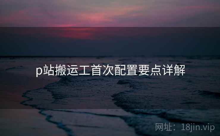 p站搬运工首次配置要点详解