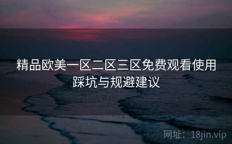 精品欧美一区二区三区免费观看使用踩坑与规避建议