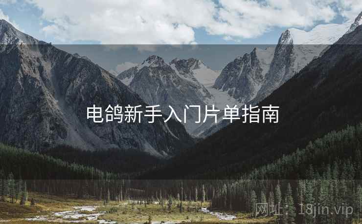 电鸽新手入门片单指南