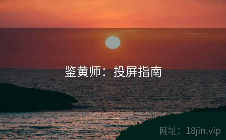 鉴黄师：投屏指南